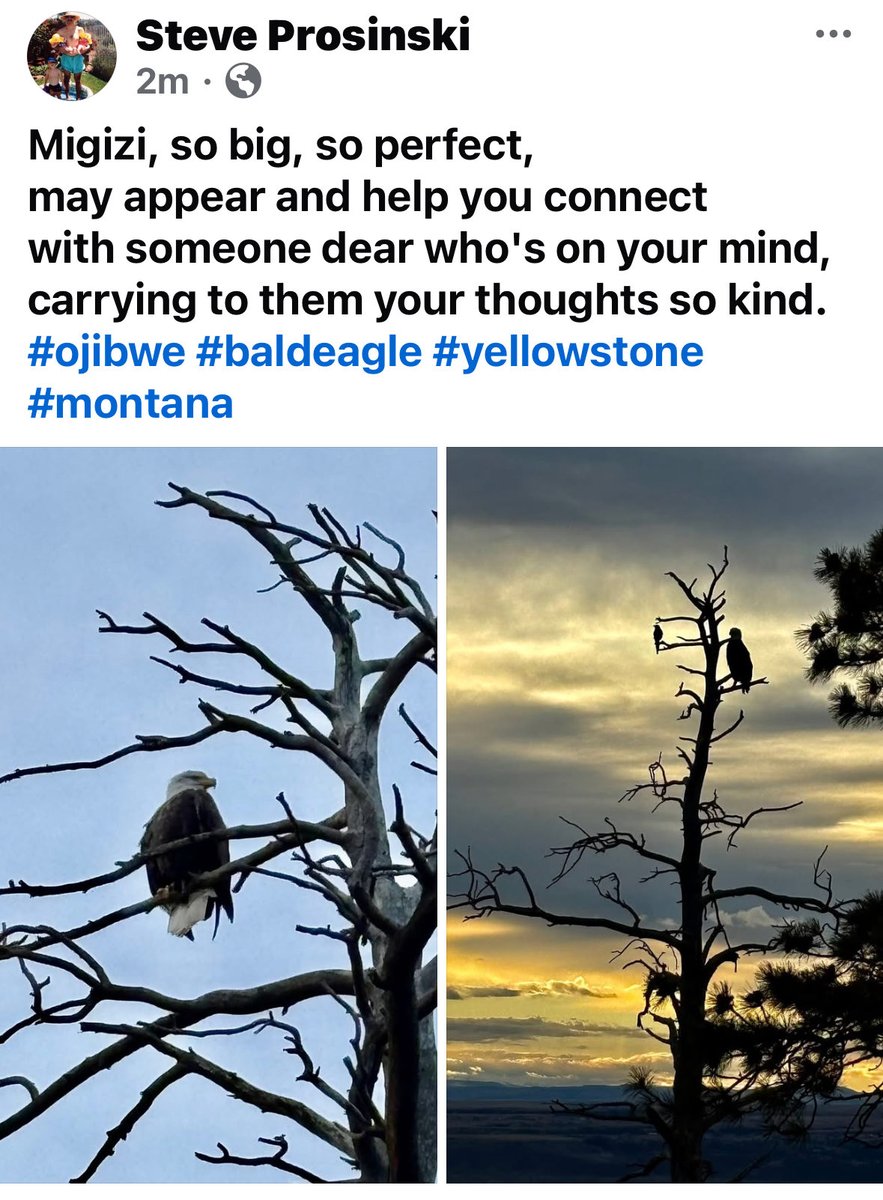 Steve Prosinski (@steveprosinski) on Twitter photo 