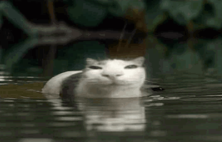 Coolburg tweet media