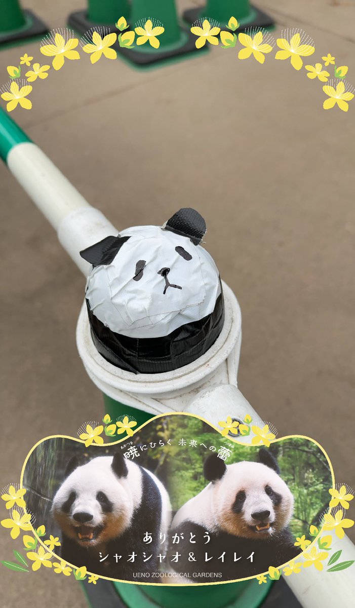 しろくろや　パンダちゃん　アーティストベア しろくろや (@shirokuro_ya) / Posts / X