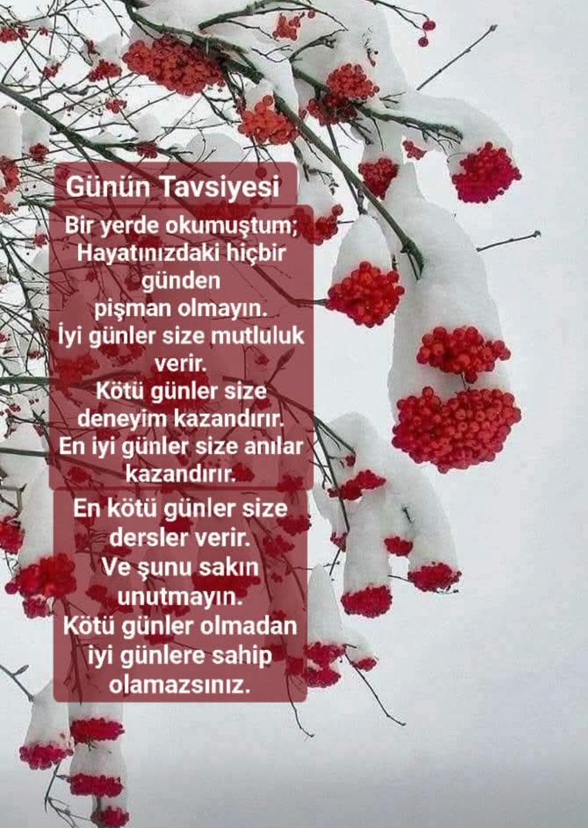 Fatmaglsrtamkan's tweet photo. 🤍🤍 https://t.co/pSQlI5qiI1