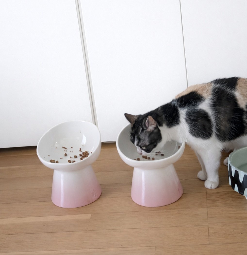 yunyun (@yunyuncafe) / Posts / X