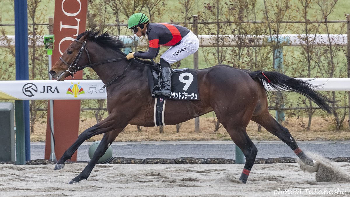G1サラブレッドクラブ(公式) tweet media