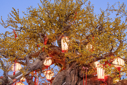 ChinaDaily's tweet image. #Universal #Beijing Resort said it will launch its seasonal "Universal's Chinese New Year" event from Jan 23 to March 3, expanding holiday-themed entertainment, decor and merchandise across the park, hotels and CityWalk as it targets strong Chinese #NewYear traffic.