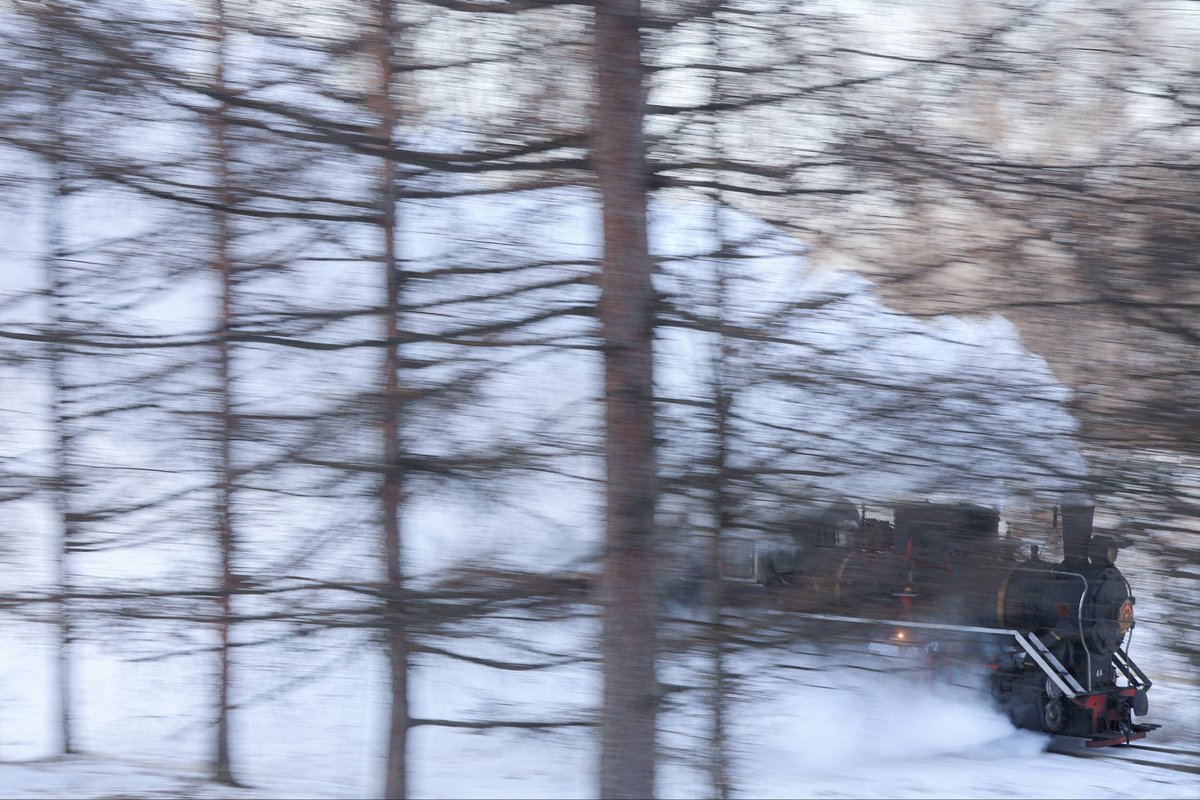 いつき (@itsukibut) / Posts / X