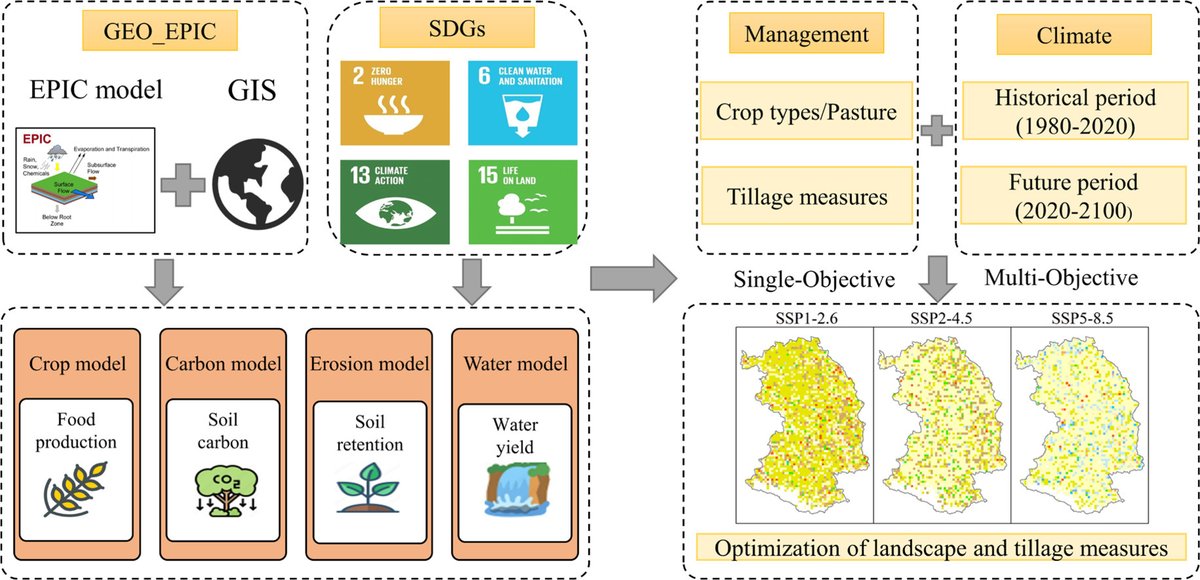 Climate change threatens agro-pastoral systems—especially under SSP5–8.5.
A spatial GEO_EPIC study shows no-till corn and conservation tillage best enhance agroecosystem services and resilience in northern China.

doi.org/10.1016/j.geos…

#ClimateAdaptation #Agroecosystems