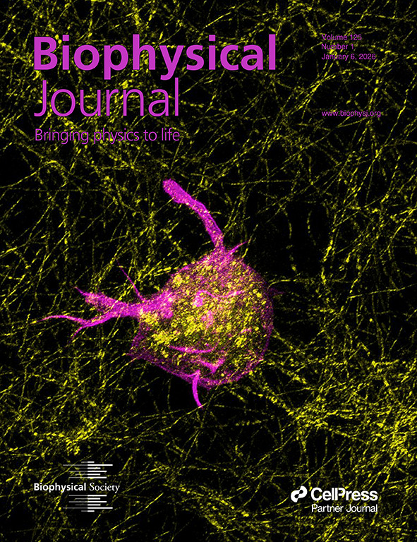 AdhesionLab's tweet photo. Thanks @BiophysJ for this cool cover to start our year.  Image by @DebasmitaMazum6 shows a wild-type mouse embryonic fibroblast treated with ROCK inhibitor Y-27632 and embedded in 1.0 mg/mL 3D collagen gel. 

Link to MS - https://t.co/EWOoJWt9fi 
@ANRF @IISERPune @MamoniDash https://t.co/HbgimHLnm9