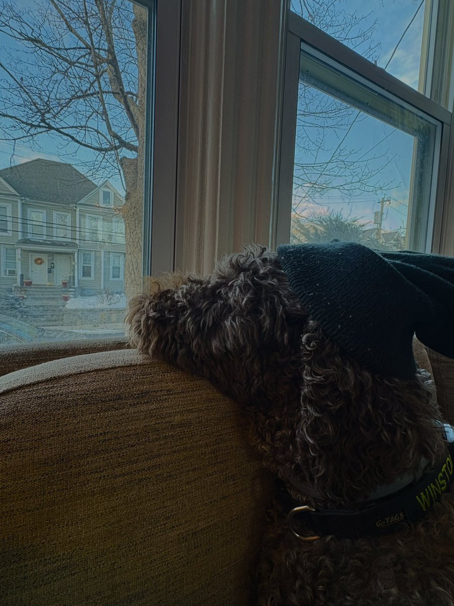 Kat Rosenfield tweet media