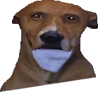 MrNatureFriend tweet media