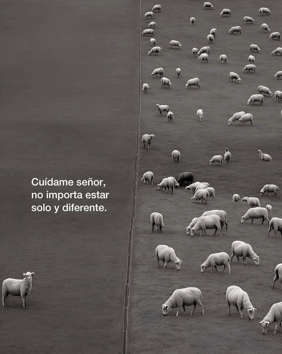 Lonely🥀 (@angelo_uf) on Twitter photo 