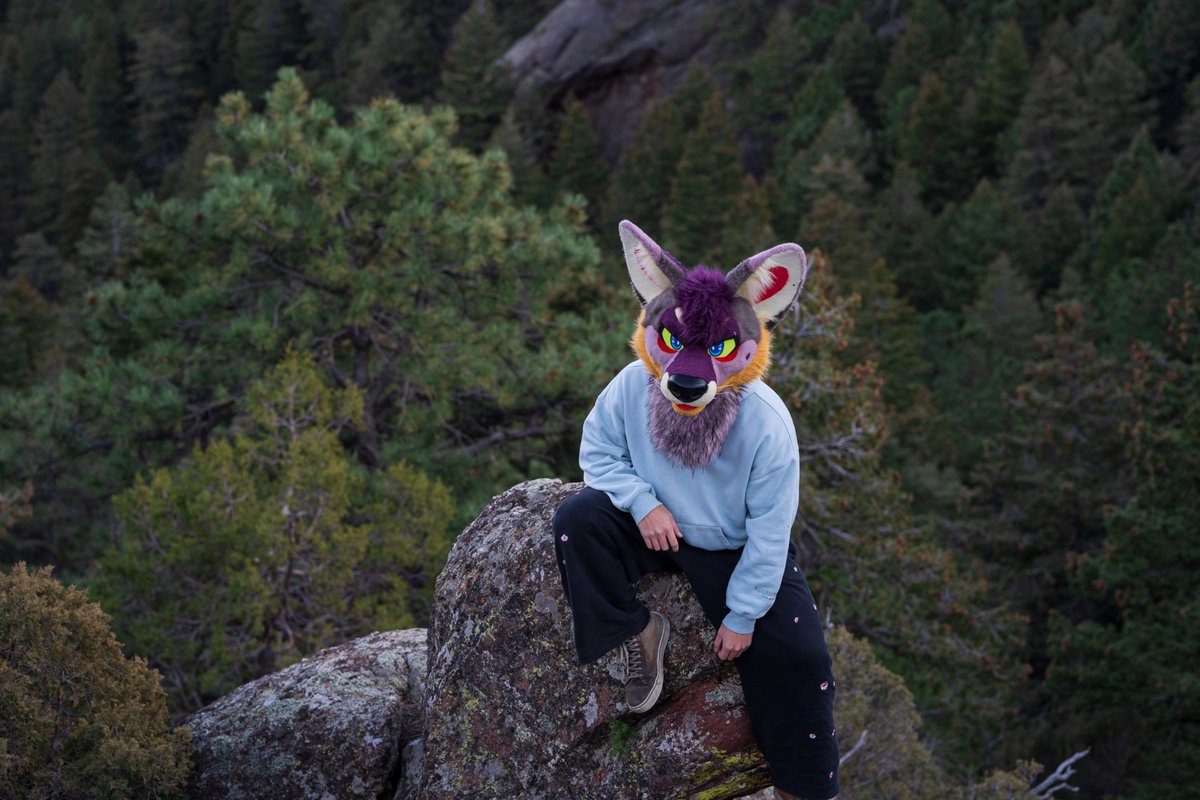 Antares 🔜 LVFC tweet media