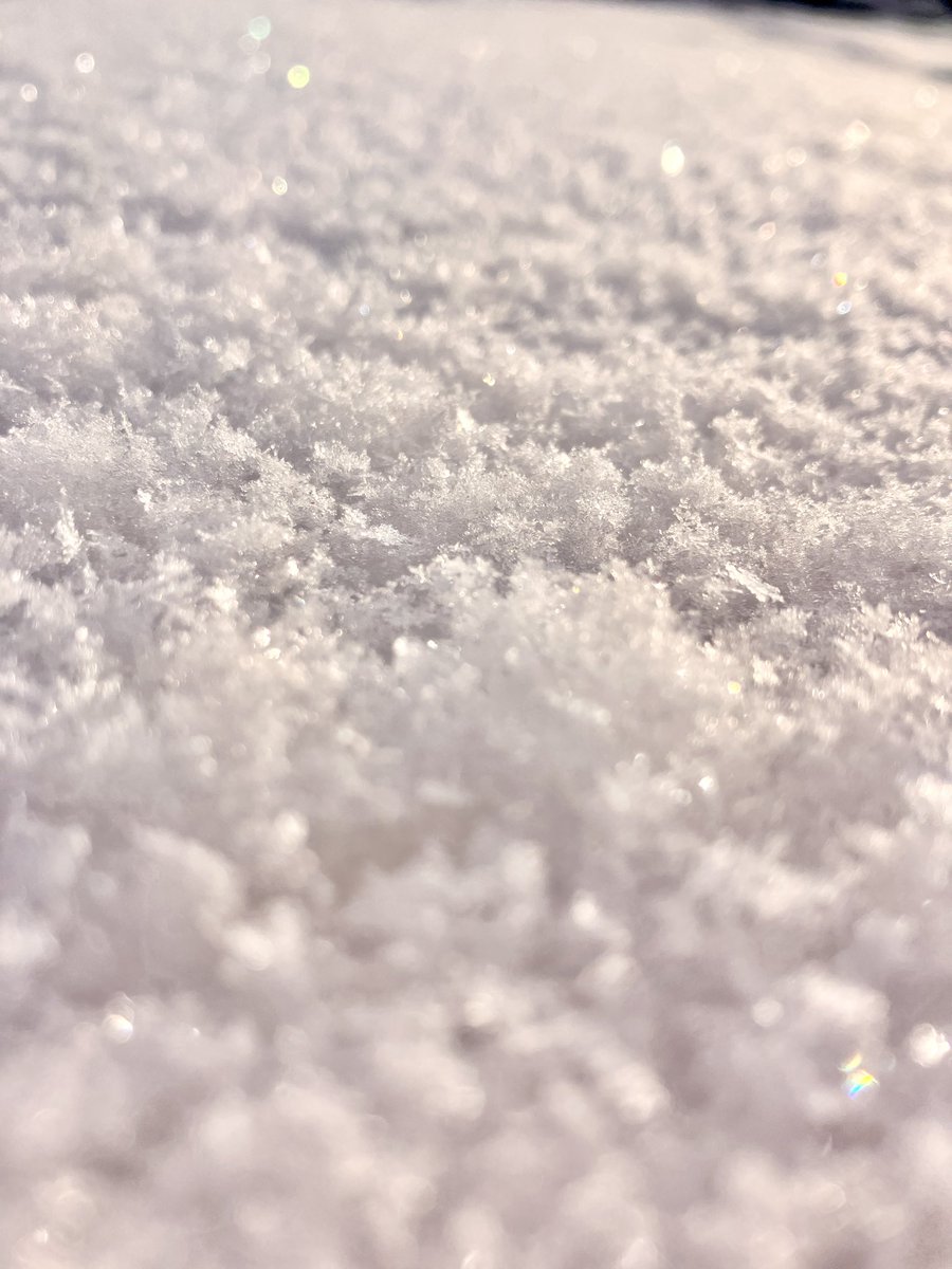 みっちゃん 「みっちゃんねる」 (@kintaro47767119) / Posts / X