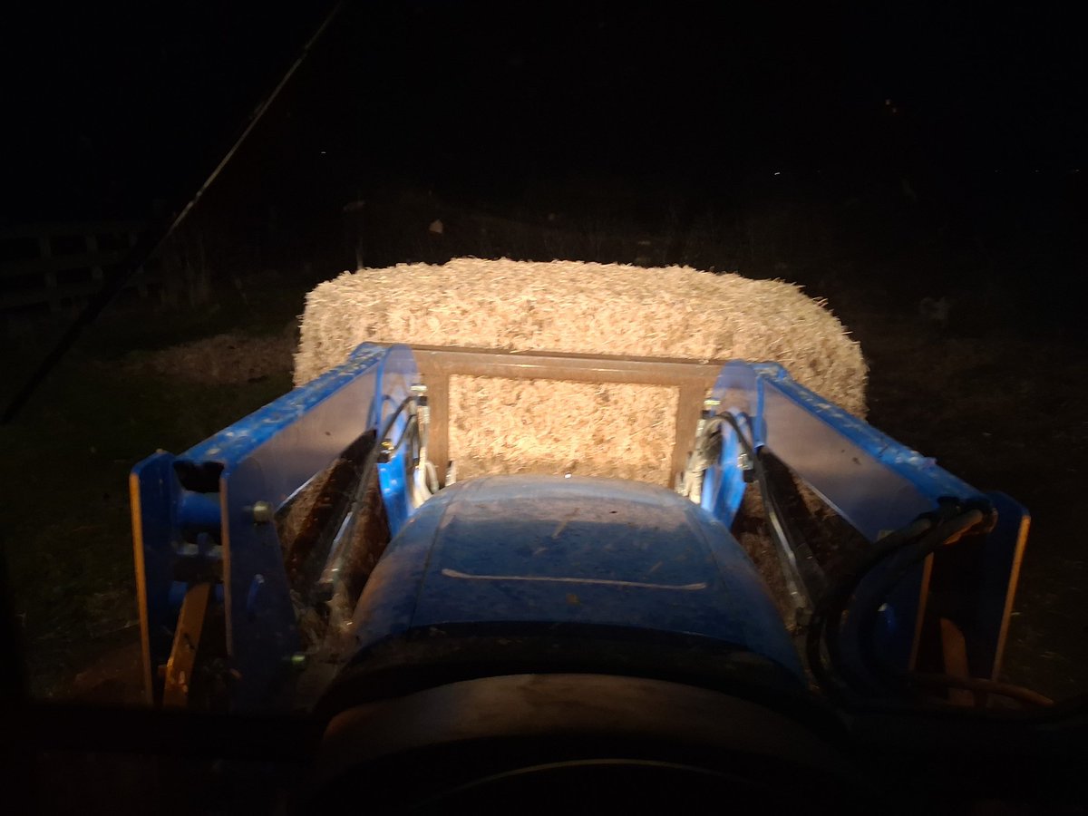 TheDailyCowman's tweet image. Tonights cattle feeding thought

On the day I die

I would rather die with thousands of regrets for things I tried and failed or things I tried that sucked

Than to die with one regret of NOT trying something I always thought about trying