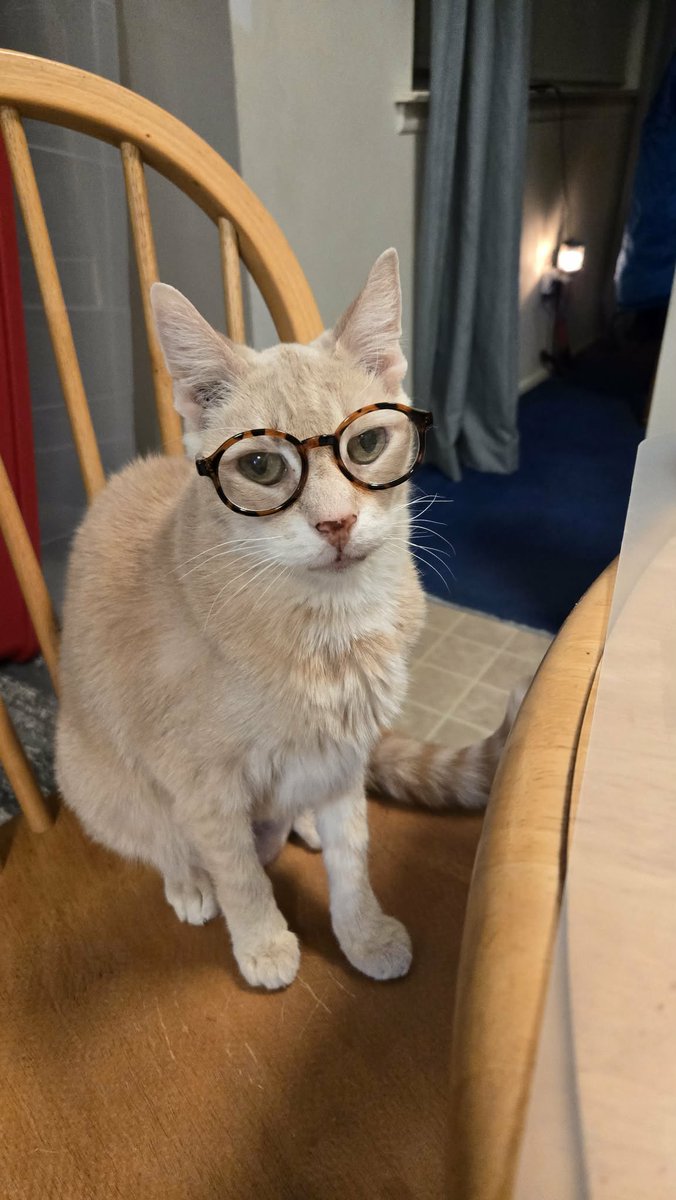 ScottMcD tweet media