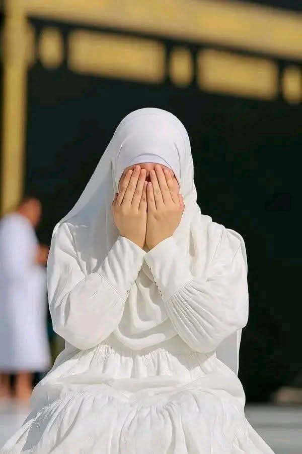 السلام علیکم ورحمتہ اللہ وبرکاتہ 🌹
صبح بخیر 🌺
 سلامتیاں
نئے دن کے ساتھ سب کیلئے ڈھیروں دعائیں 
اللہ تعالٰی سب کیلئے آسانیاں فرمائے 
جو مشکلات میں ہیں مشکلات دور فرمائے 
جو بیمار ہیں شفا عطا فرمائے 
آمین ثم آمین یا رب العالمین 🤲