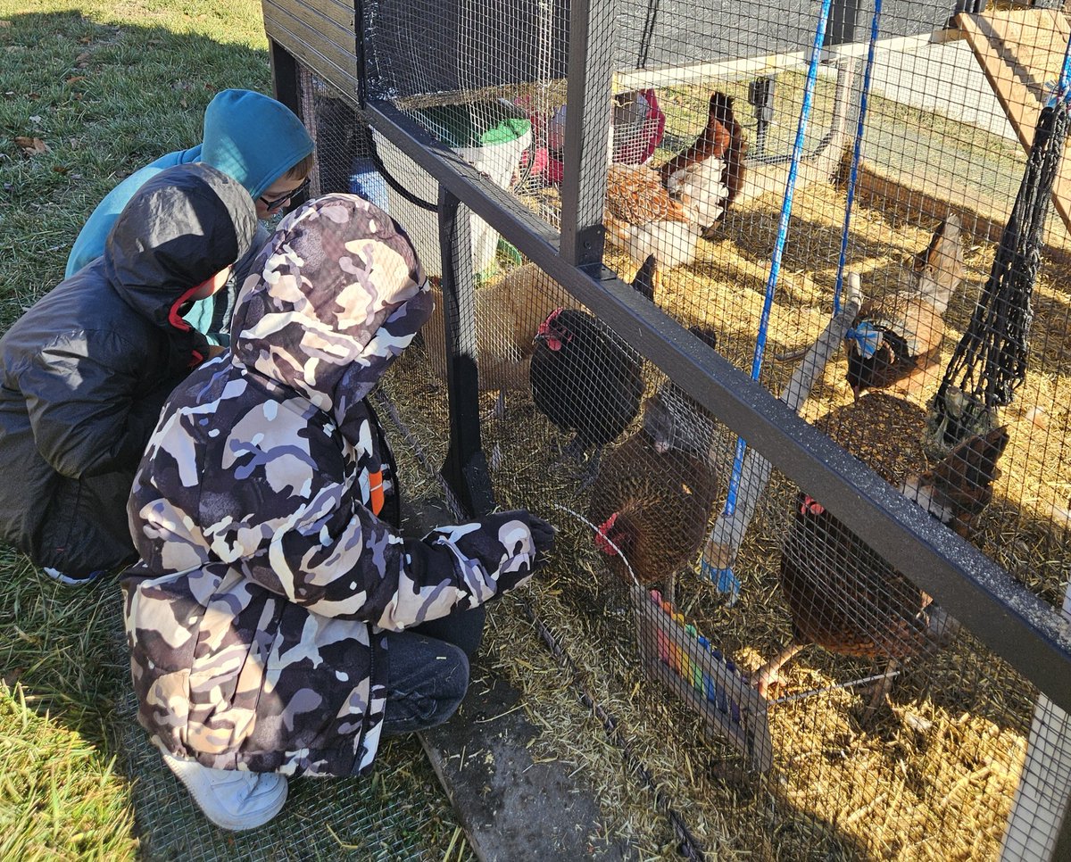 Miranda Miles tweet media