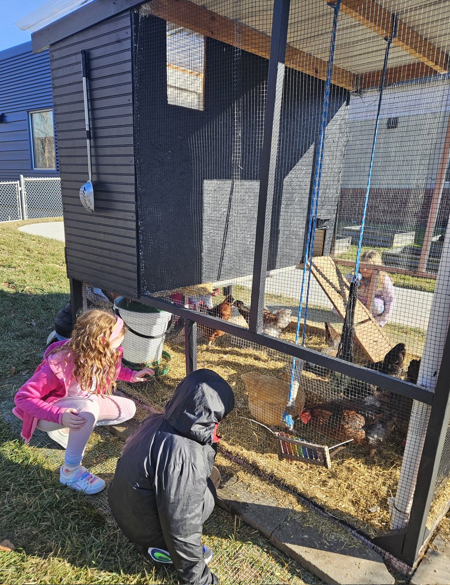 Miranda Miles tweet media