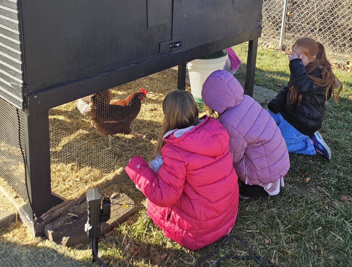 Miranda Miles tweet media