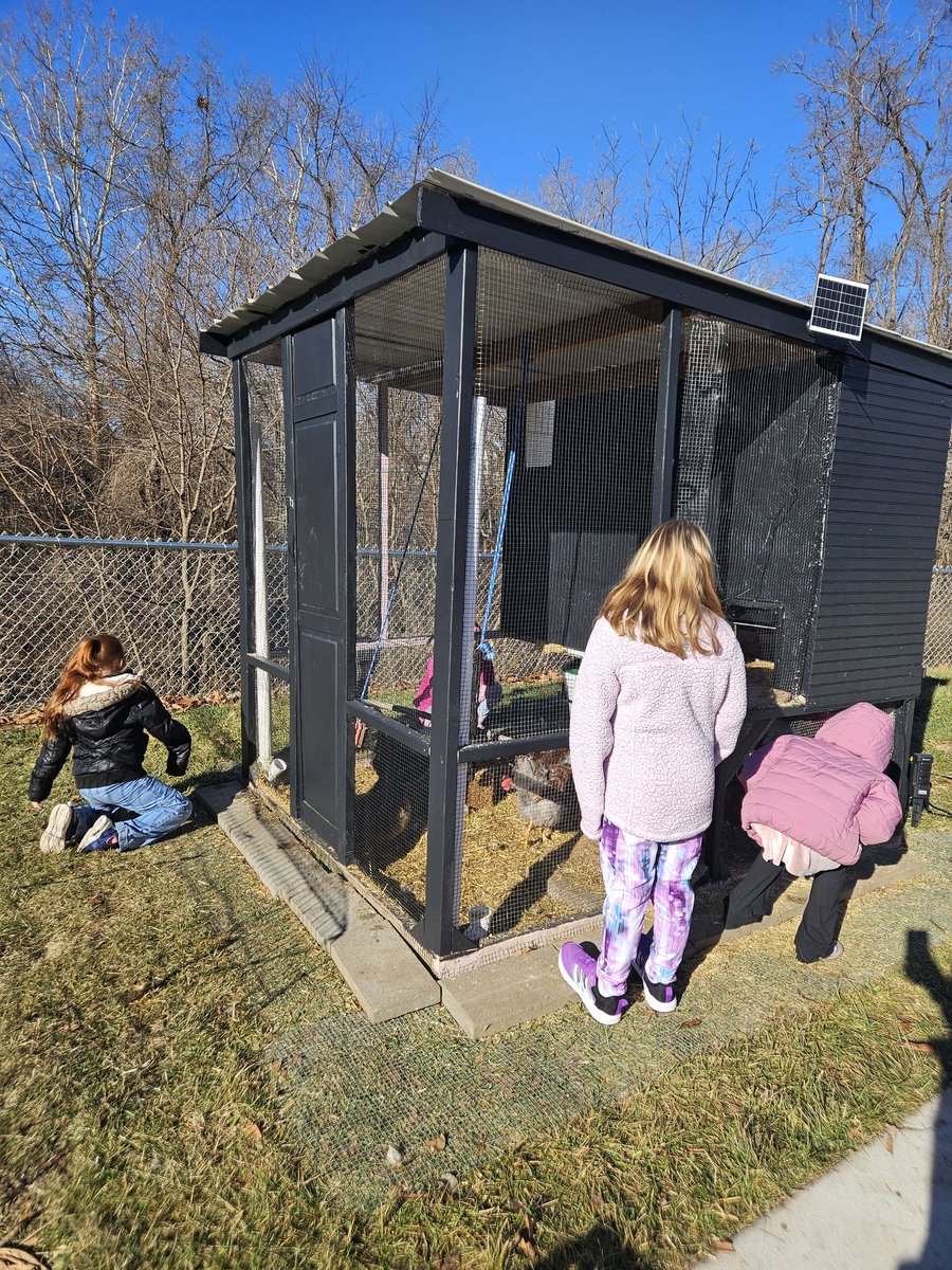 Miranda Miles tweet media