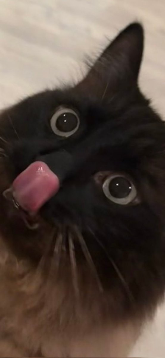 TronofC's tweet image. Momther, I yearn shramp