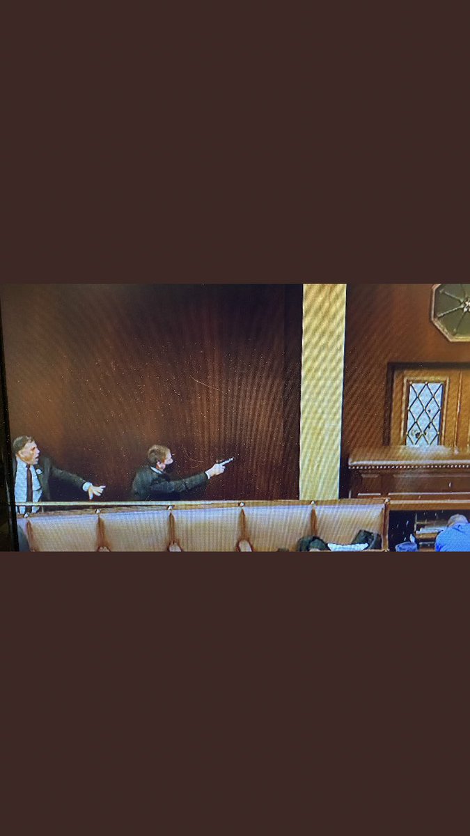 SueDeWitt4's tweet image. Then there’s this “it was any normal tourist visit” POS!