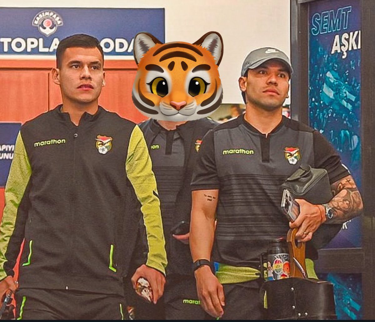 Beto de Vamos Tigre🐯 tweet media