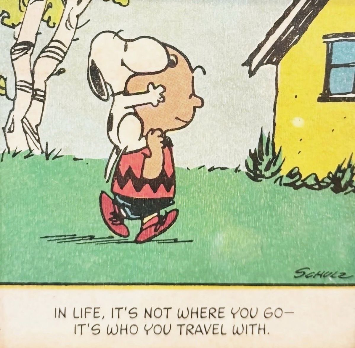 DailySnoopys's tweet image. 