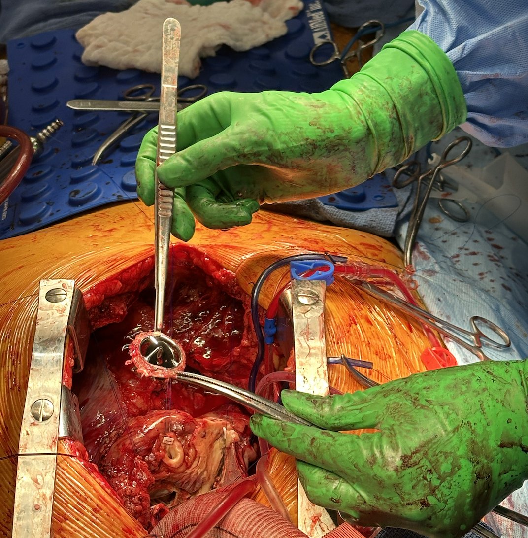 Sasha Still MD tweet media