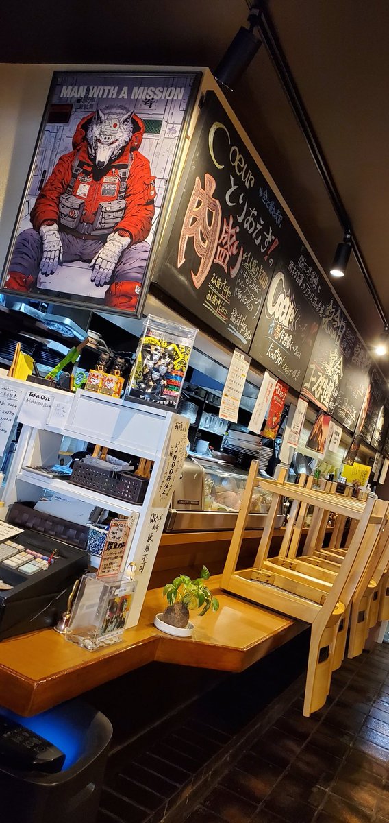 1月7日(水)早速
お店へご招待しました😸
一番ライト当たるとこへ〰️
嬉しい…( ；∀；)