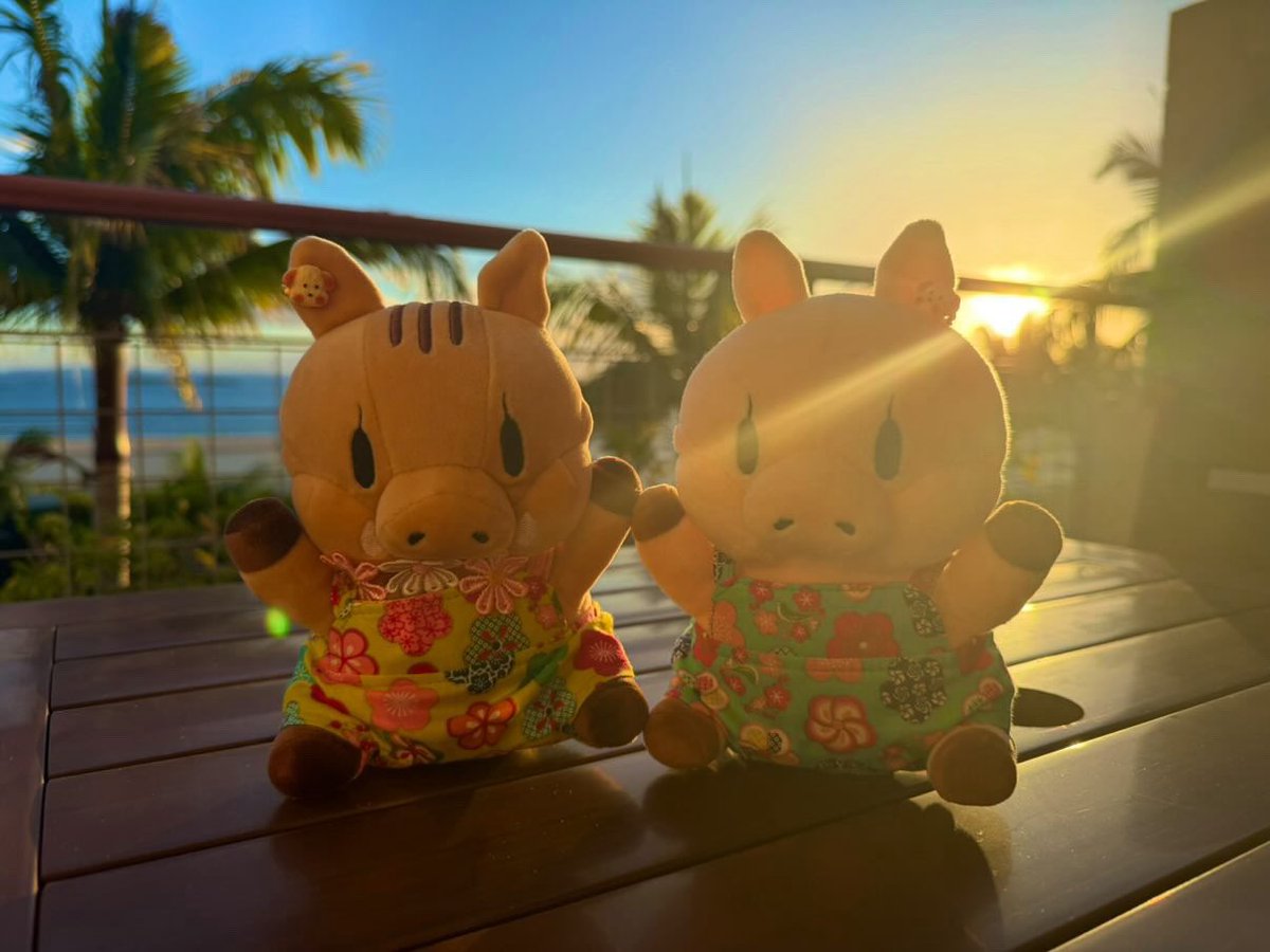 SHUmatsukura101's tweet photo. ジ・アウトレット北九州さまでの催事にお越しくださいました皆様、本当に本当にありがとうございました！
無事に最後まで駆け抜けることができました！

回を増すごとにリピーターさんが増えて新作を心待ちにしてくださって、SNSもめっちゃ追いかけてくださって…皆様のラブがすごい！
幸せ者です◎ https://t.co/Mk7X6FBLCx