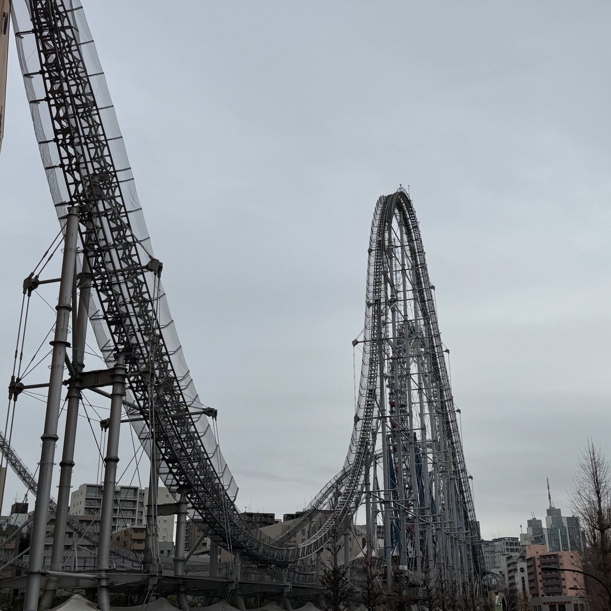 Post by もこてゃん🥃 on X: 🎡