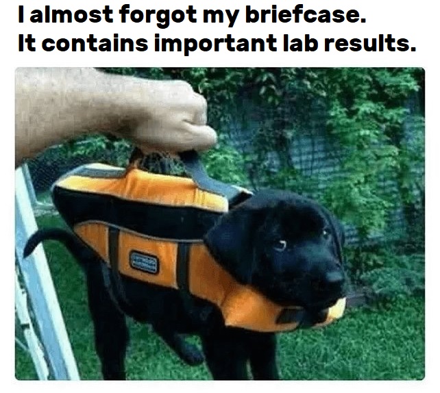 😂