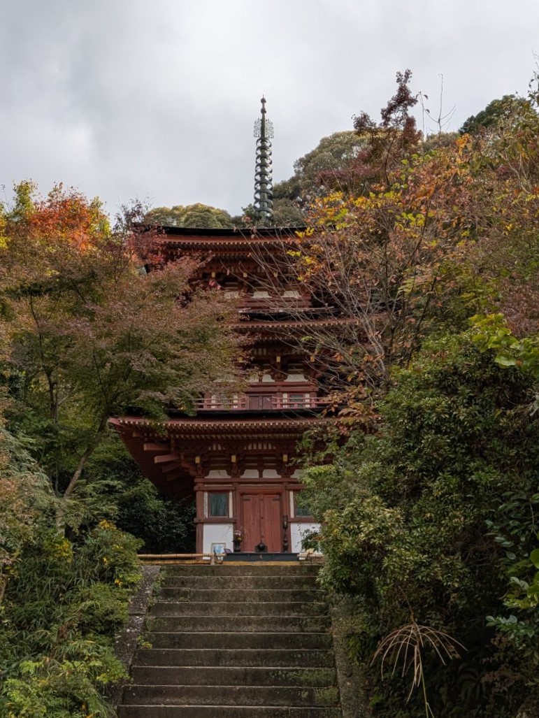 雅京都観光 (@miyabi4949) / Posts / X