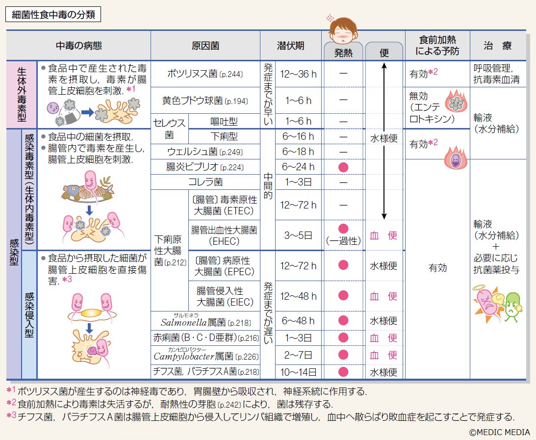 病みえ 病気がみえる - チーム医療を担う医療人共通のテキスト