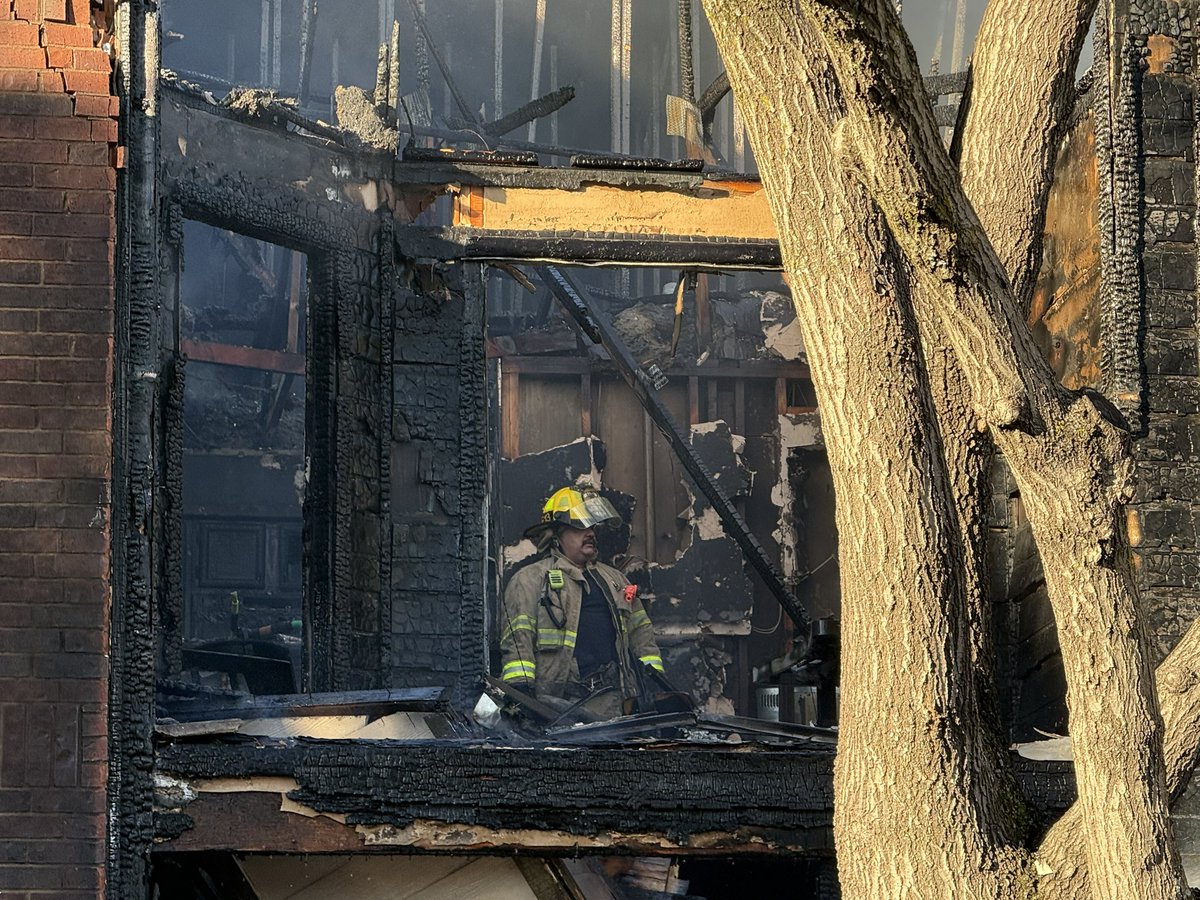 Box4Firebuffs tweet media