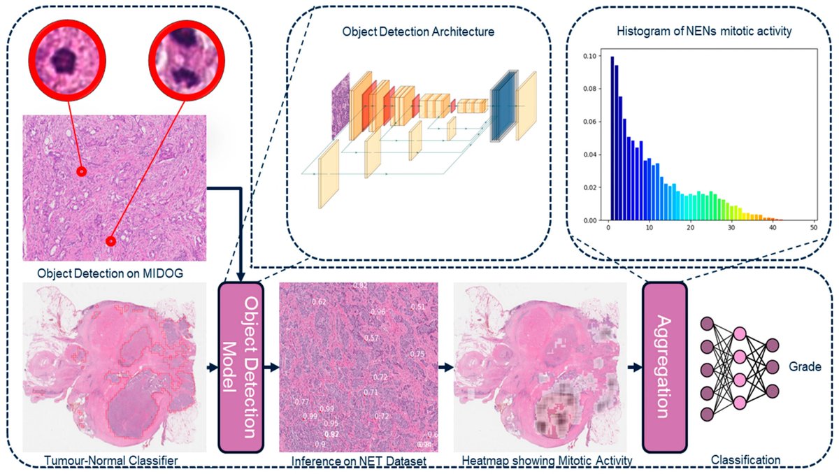 Cancers MDPI tweet media
