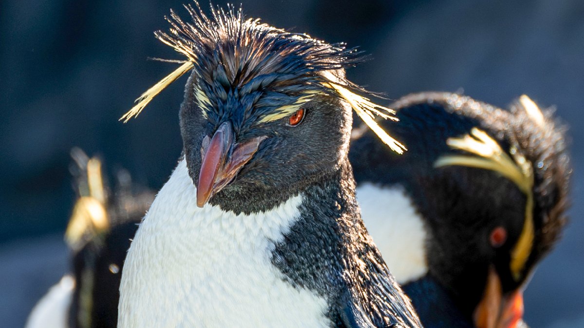 つどえ オロロ～ン！開催✨／ 講演会のテーマは 「野生生物の保全と