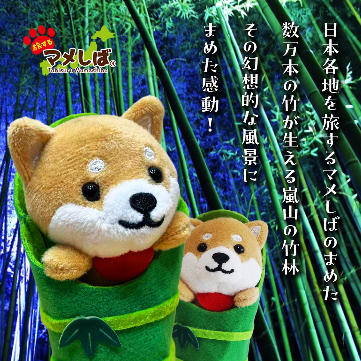 まめまめしば♡断捨離中です♡ 様 ご購入予定品 旅するマメしば (@tabi_mameshiba) / Posts / X