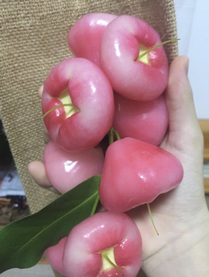 池恩 （互fo） tweet media