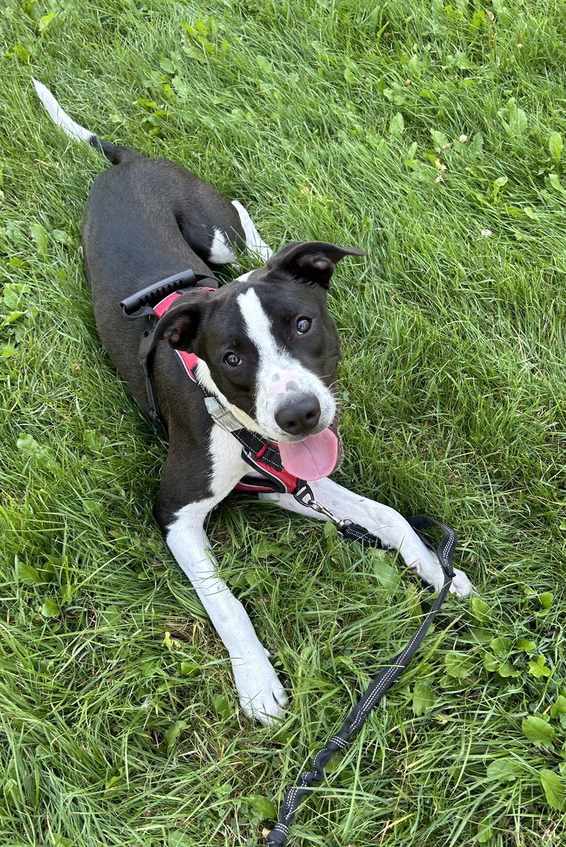 ABFriendlyBare tweet media