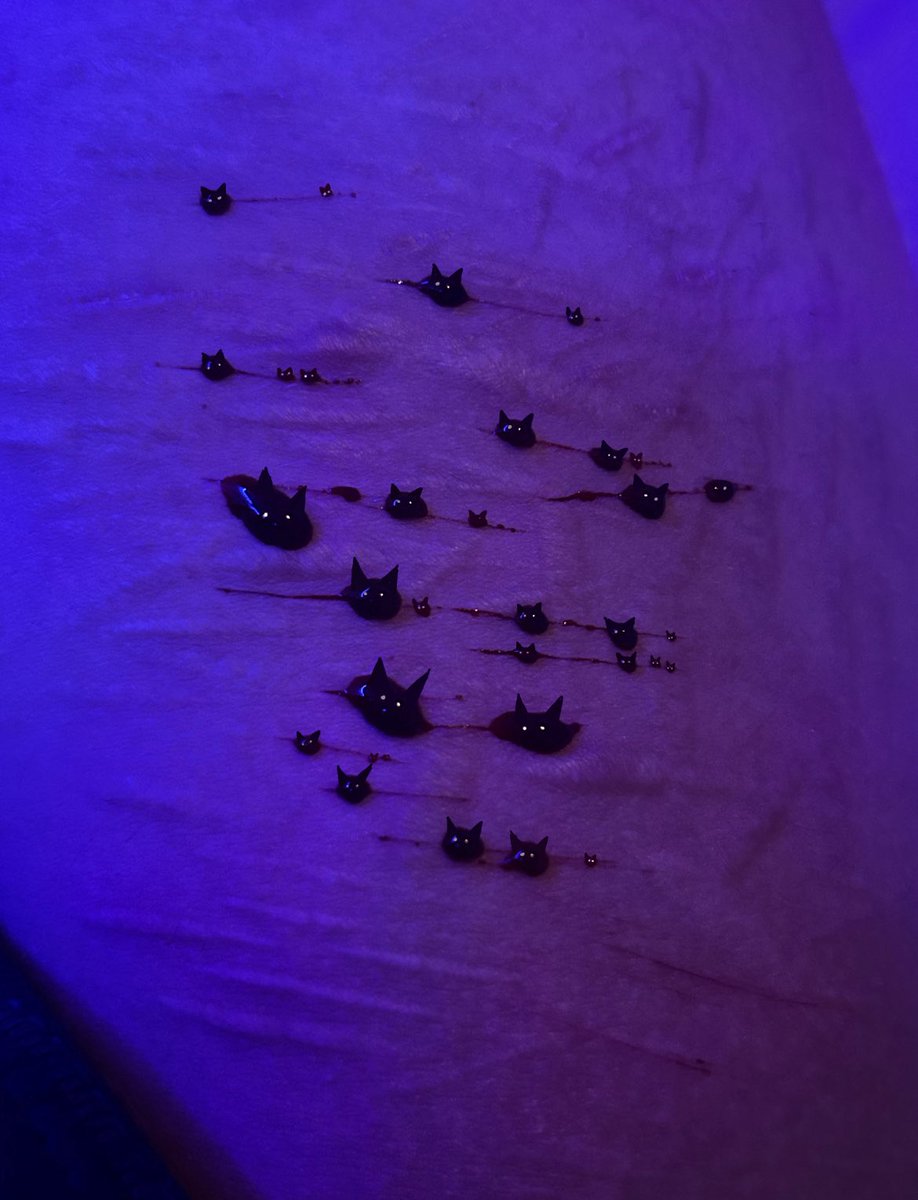 cl3m3nt1ne444's tweet image. sum cat scratches js for this trend✌️