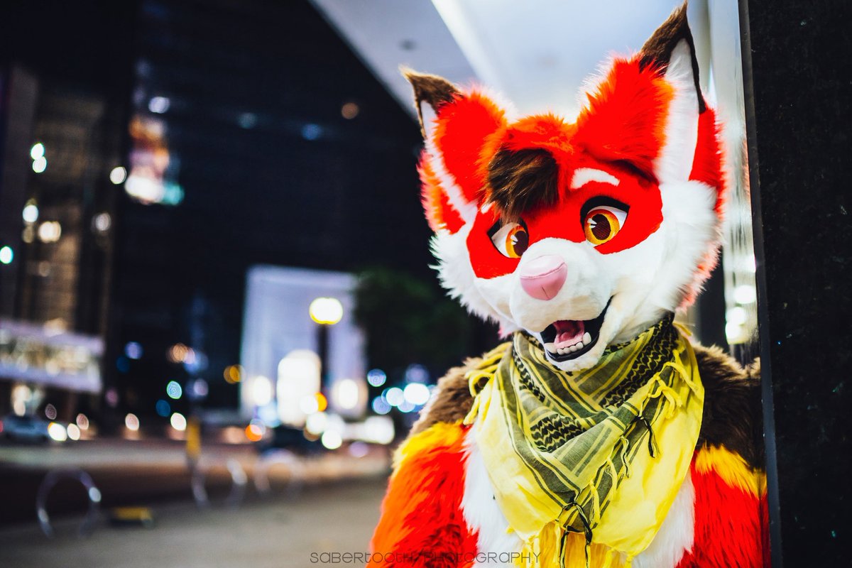 Looks like you’ve found a cutie fox on the street! ✨