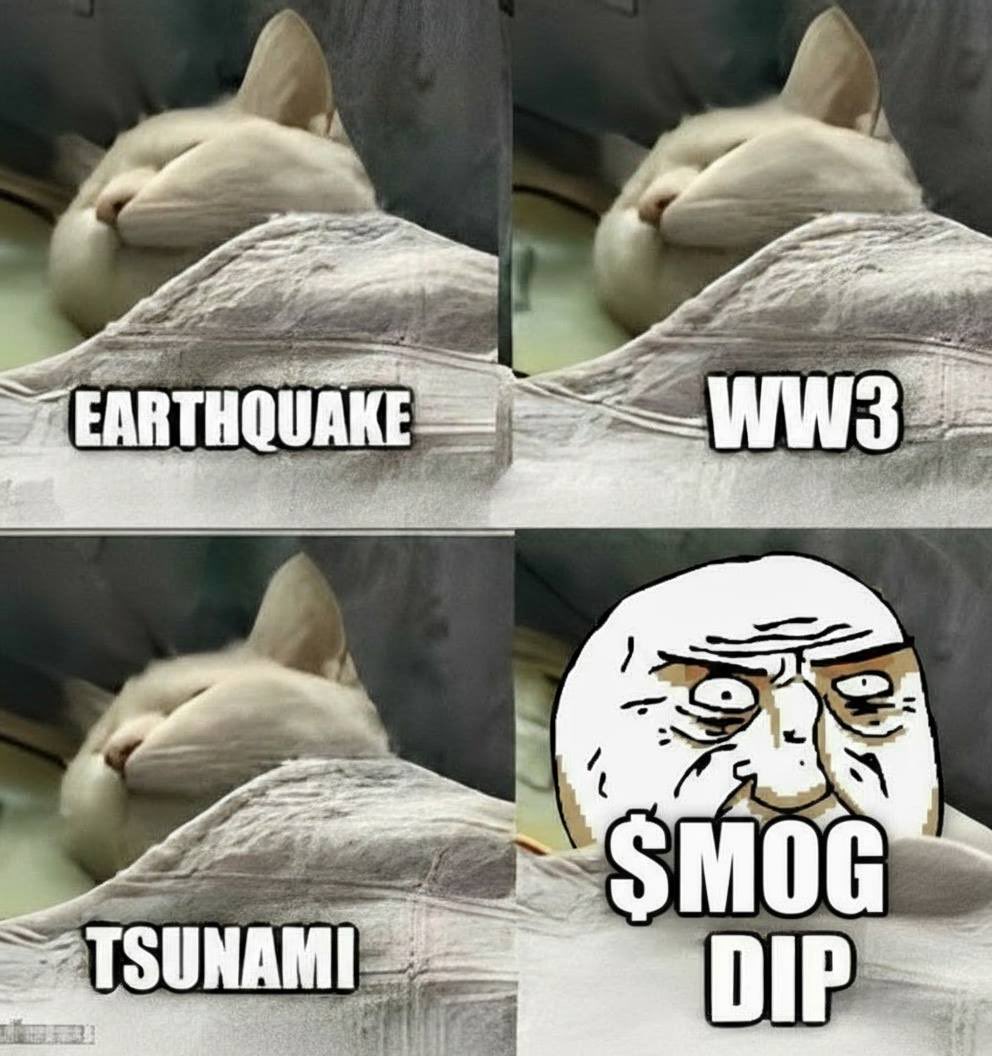 Pumpin’ Pie (@pumpin_pies) on Twitter photo 