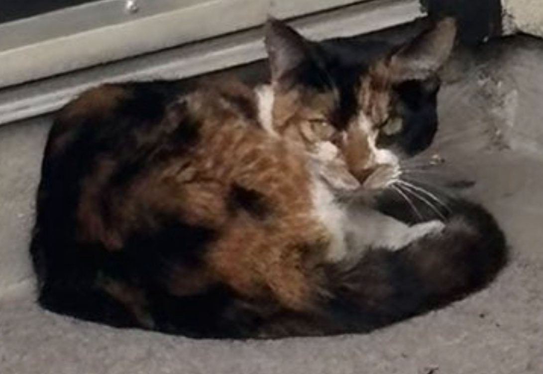 RubyTuesday425's tweet image. “I got my assignment. I dunno why the door was locked.  This is the place. I’ll wait.”