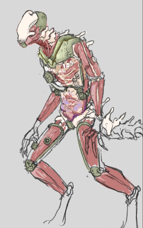 MantisRun's tweet image. 