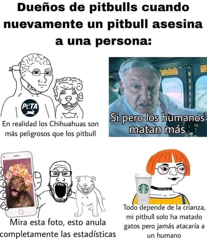 SuavecitoLomito's tweet photo. @c4jimenez @TuAlcaldiaGAM @SSC_CDMX Siempre los mismos putos perros https://t.co/Jc6CpWAV52