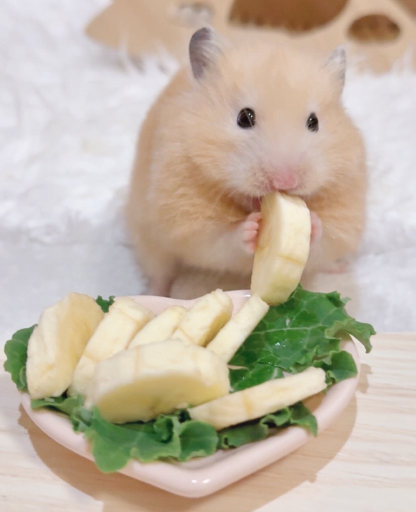 o3o2_sss's tweet image. 