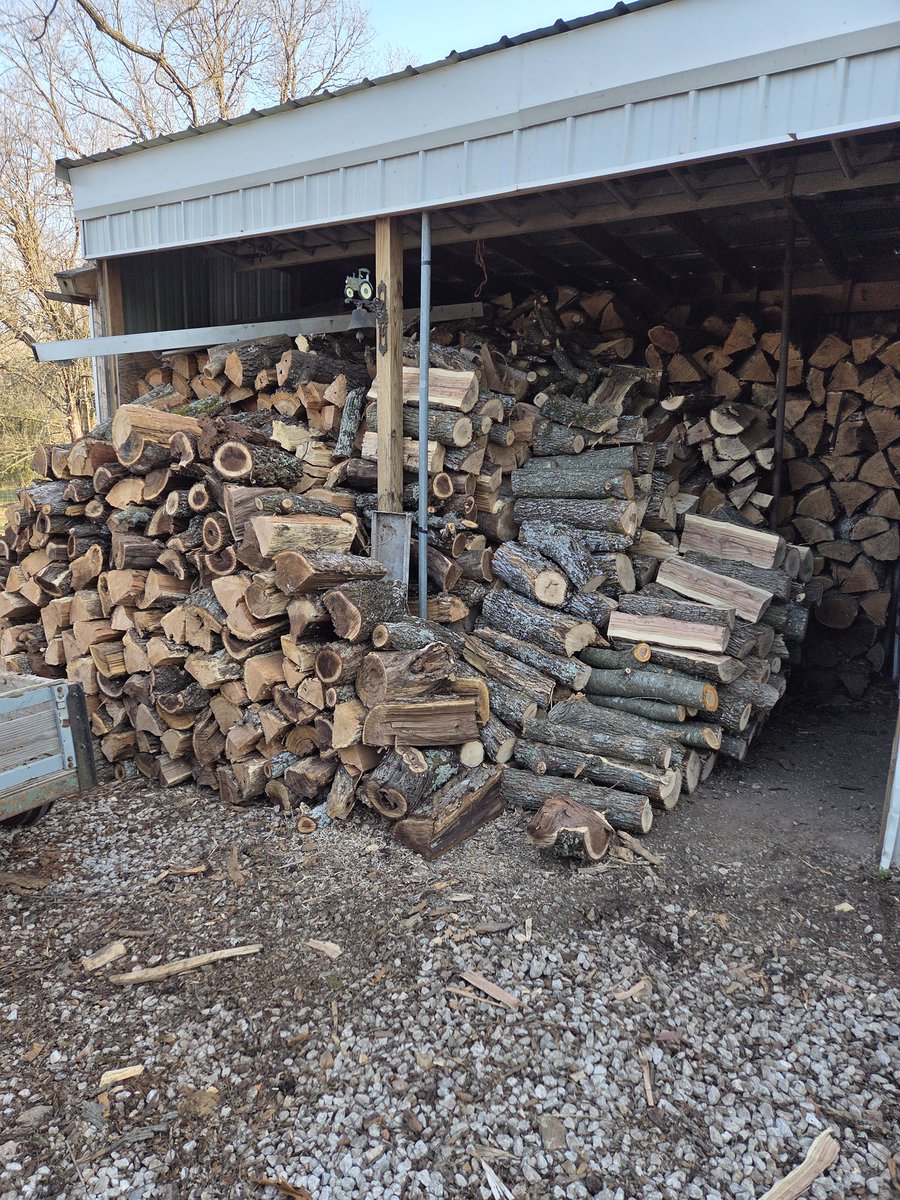 WadeCook64's tweet image. Big winter wood pile,75 degrees here today...go figure. 😁👍😎
