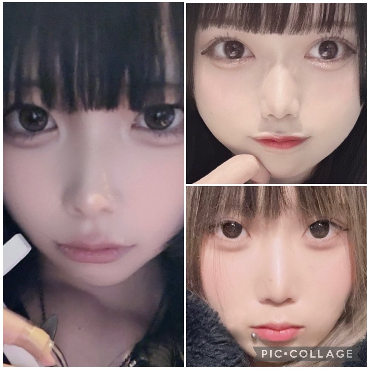 ❄️🦌1/7も元気に営業🦌❄️

本日も元気に営業してます😊

いつも可愛い子いっぱい💕

絶対楽しいヤーツ♬

ルピ👻<a href="/Lupiriareve/">【公式】MaidCafe&barルピリアレーヴ《あんどおるぐるーぷ》</a> 

デビ👿<a href="/devil__holic/">【公式】MaidCafe&barデビルホリック《あんどおるぐるーぷ》</a> 

ルナ🧙‍♀️<a href="/Luna_ange_/">【公式】MaidCafe&barルナアンジュ《あんどおるぐるーぷ》</a> 

#メイド #コンカフェ #京都
#西院 #河原町 #祇園 #求人