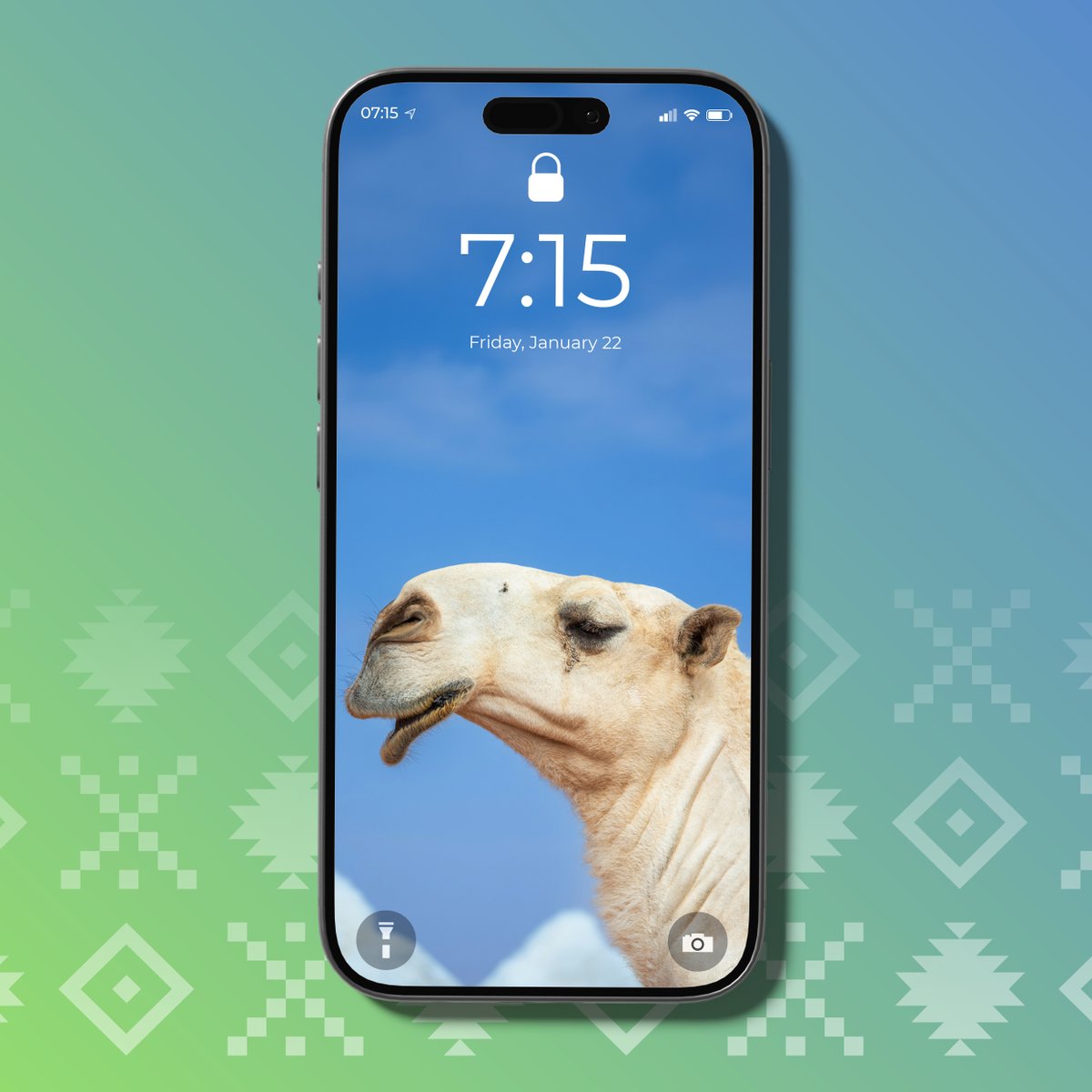 نادي الإبل tweet media