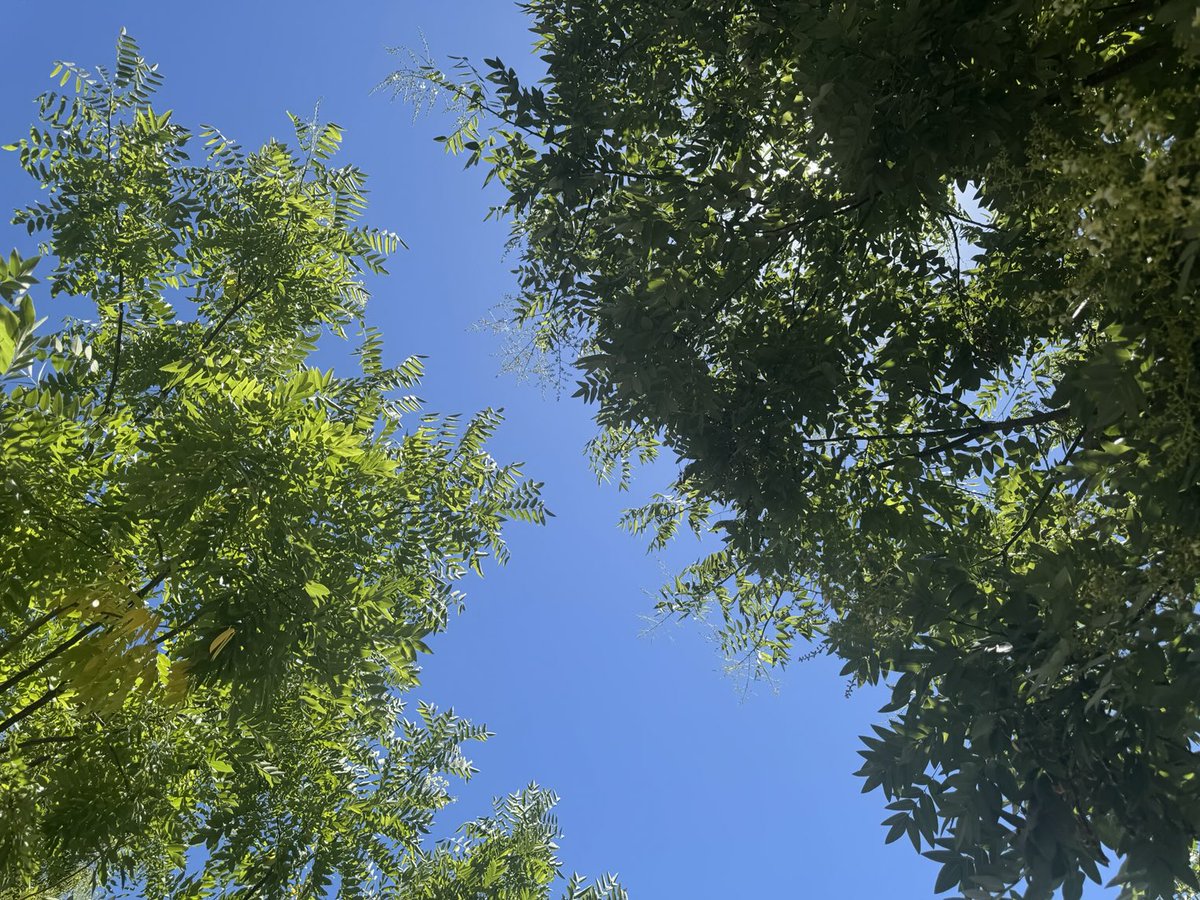 Dr Rebecca Morrow (her/she) tweet media